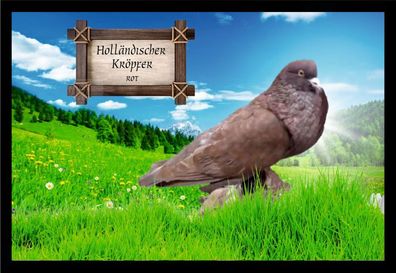 Fußmatte Schmutzfangmatte Tauben Holländischer Kröpfer rot F2135 60x40 cm