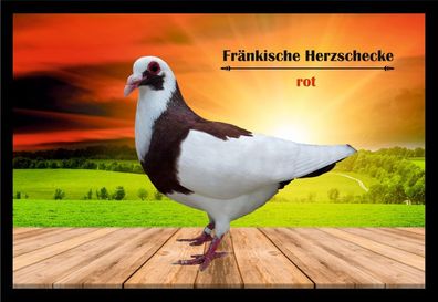 Fußmatte Schmutzfangmatte Tauben Fränk. Herzschecke rot F2111 75x50 cm