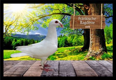 Fußmatte Schmutzfangmatte Tauben Fränk. Bagdette weiß F2106 75x50 cm