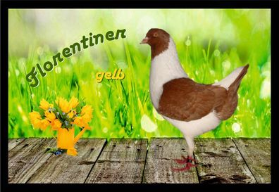 Fußmatte Schmutzfangmatte Tauben Florentiner gelb F2099 75x50 cm