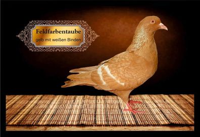 Fußmatte Schmutzfangmatte Tauben Feldfarbentaube gelb m.w.B. F2093 75x50 cm