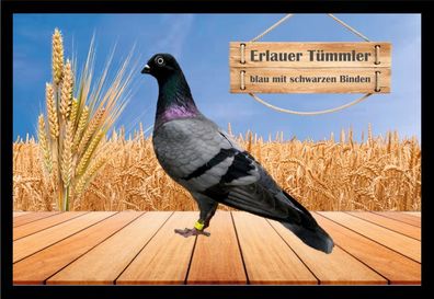 Fußmatte Schmutzfangmatte Tauben Erlauer Tümmler blau m.s.B. F2091 60x40 cm