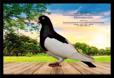 Fußmatte Schmutzfangmatte Tauben Elsterpurzler schwarz F2086 75x50 cm