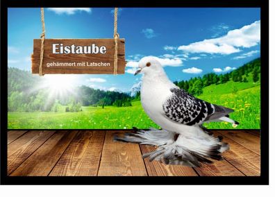 Fußmatte Schmutzfangmatte Tauben Eistaube geh. mit Latschen F2079 75x50 cm