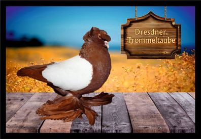 Fußmatte Schmutzfangmatte Tauben Dresdener Trommeltaube F2072 60x40 cm