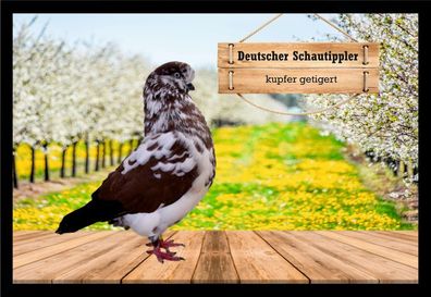Fußmatte Schmutzfangmatte Tauben Dt. Schautippler kupfer getigert F2069 75x50 cm