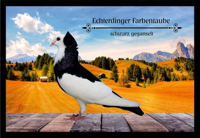 Fußmatte Schmutzfangmatte Tauben Echterdinger Farbentaube schwarz geg. F2074 60x
