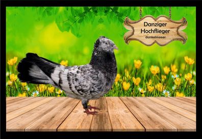 Fußmatte Schmutzfangmatte Tauben Danziger Hochflieger dunkelmaser F2054 60x40 cm