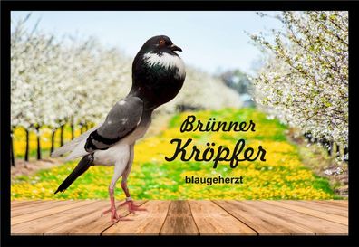 Fußmatte Schmutzfangmatte Tauben Brünner Kröpfer blaugeherzt F2036 60x40 cm