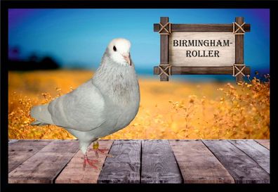 Fußmatte Schmutzfangmatte Tauben Birmingham Roller F2030 60x40 cm