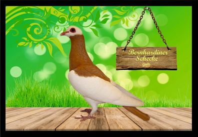 Fußmatte Schmutzfangmatte Tauben Bernhardiner Schecke gelb F2028 75x50 cm