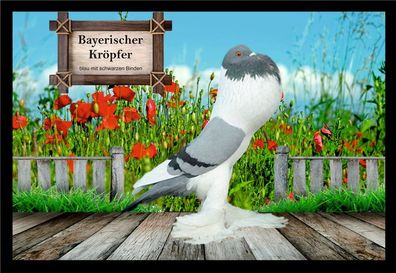 Fußmatte Schmutzfangmatte Tauben Bayerischer Kröpfer blau m.s.B. F2016 60x40 cm