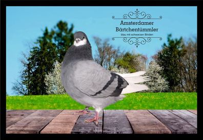 Fußmatte Schmutzfangmatte Tauben Amsterdamer Bärtchentümmler b.m.s.B. F2005 75x5