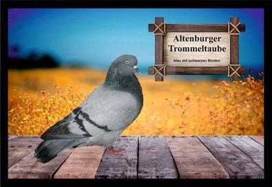 Fußmatte Schmutzfangmatte Tauben Altenburger Trommeltaube blau m. s. B. F1188 60