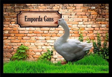Fußmatte Schmutzfangmatte Wassergeflügel Emporda Gans F1166 60x40 cm