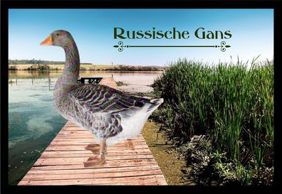 Fußmatte Schmutzfangmatte Wassergeflügel Russische Gans F1174 60x40 cm