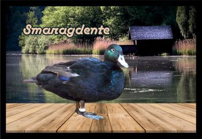 Fußmatte Schmutzfangmatte Wassergeflügel Smaragdente F1153 60x40 cm