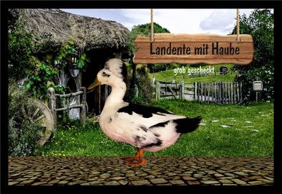 Fußmatte Schmutzfangmatte Wassergeflügel Landente mit Haube grob gescheckt F1126