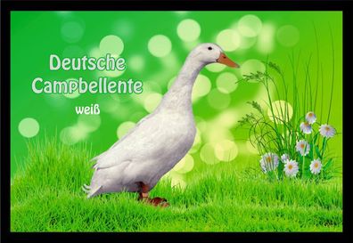 Fußmatte Schmutzfangmatte Wassergeflügel Deutsche Campbellente weiß F1119 60x40