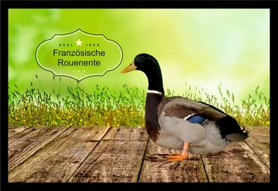 Fußmatte Schmutzfangmatte Wassergeflügel Französische Rouenente F1120 60x40 cm