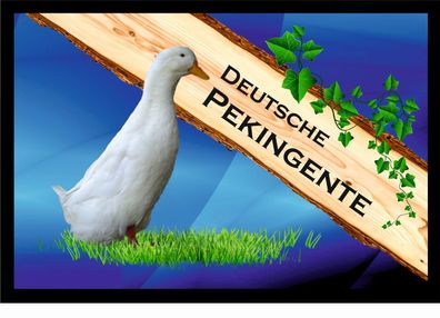 Fußmatte Schmutzfangmatte Wassergeflügel Deutsche Pekingente F1118 60x40 cm