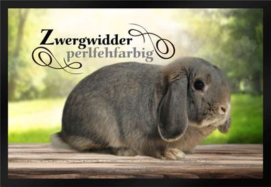 Fußmatte Schmutzfangmatte Kaninchen Zwergwidder perlfehfarbig F1107 75x50 cm