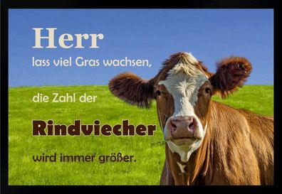 Fußmatte Schmutzfangmatte Herr Gras wachsen Rindviecher größer F1060 60x40 cm