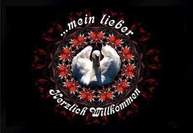 Fußmatte Schmutzfangmatte mein lieber Schwan Herzlich Willkommen F1055 60x40 cm