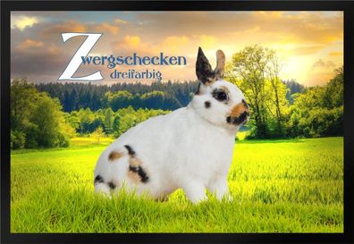 Fußmatte Schmutzfangmatte Kaninchen Zwergschecken dreifarbig F1016 60x40 cm