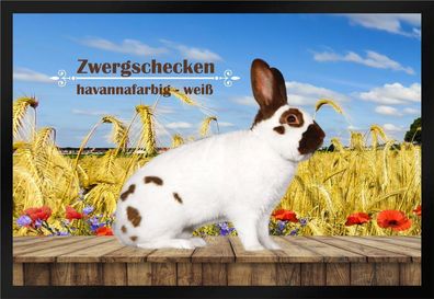 Fußmatte Schmutzfangmatte Kaninchen Zwergschecken havannafarbig weiß F1015 60x40