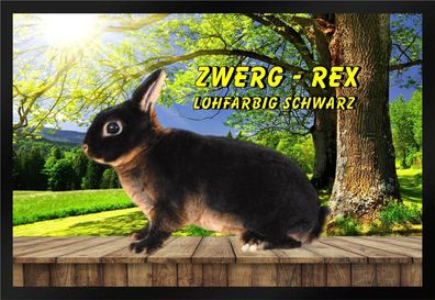 Fußmatte Schmutzfangmatte Kaninchen Zwerg-Rex lohfarbig schwarz F1012 60x40 cm