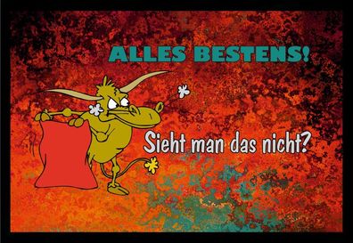 Fußmatte Schmutzfangmatte Alles bestens Sieht man das nicht F998 60x40 cm