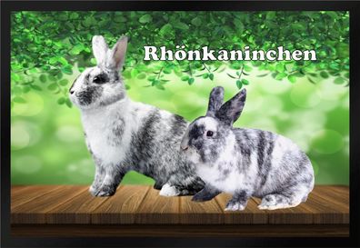 Fußmatte Schmutzfangmatte Kaninchen Rhönkaninchen F1003 75x50 cm