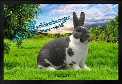 Fußmatte Schmutzfangmatte Kaninchen Meckl. Schecke blau-weiß F989 75x50 cm