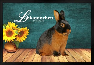 Fußmatte Schmutzfangmatte Kaninchen Lohkaninchen schwarz F982 75x50 cm