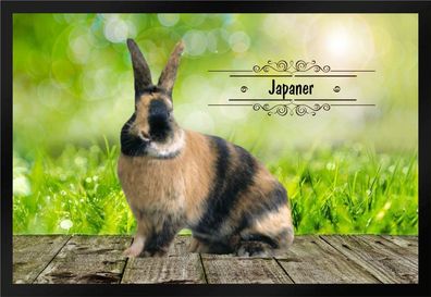 Fußmatte Schmutzfangmatte Kaninchen Rassekaninchen Japaner F975 60x40 cm