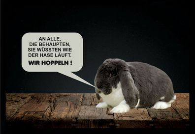 Fußmatte Schmutzfangmatte Der Hase läuft wir hoppeln F962 75x50 cm