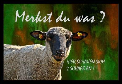 Fußmatte Schmutzfangmatte Merkst Du was hier schauen sich 2 Schafe F950 75x50 cm
