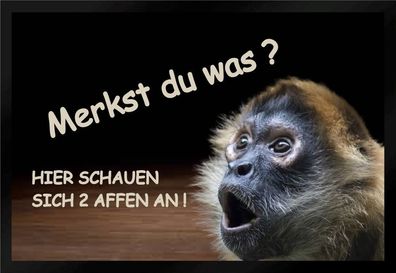 Fußmatte Schmutzfangmatte Merkst Du was hier schauen sich 75x50 cm F949