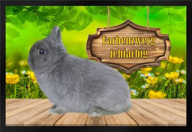 Fußmatte Schmutzfangmatte Kaninchen Farbenzwerg fehfarbig F934 60x40 cm