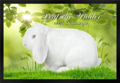 Fußmatte Schmutzfangmatte Kaninchen Dt. Widder weiß BA F909 75x50 cm