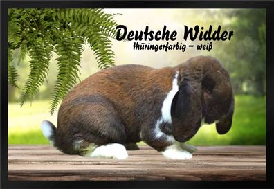 Fußmatte Schmutzfangmatte Kaninchen Dt. Widder thüringerfarbig-weiß F902 60x40 cm