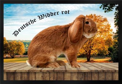 Fußmatte Schmutzfangmatte Kaninchen Dt. Widder rot F900 60x40 cm