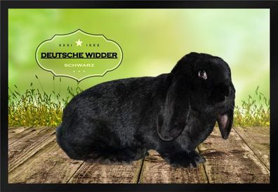 Fußmatte Schmutzfangmatte Kaninchen Dt. Widder schwarz F901 60x40 cm