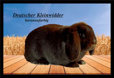Fußmatte Schmutzfangmatte Kaninchen Kleinwidder havannafarbig F888 75x50 cm