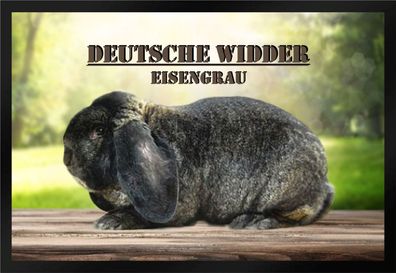 Fußmatte Schmutzfangmatte Kaninchen Deutscher Widder eisengrau F878 75x50 cm