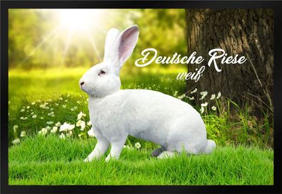 Fußmatte Schmutzfangmatte Kaninchen Deutsche Riese weiß F866 60x40 cm