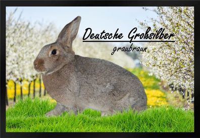 Fußmatte Schmutzfangmatte Kaninchen Deutsche Großsilber graubraun F861 75x50 cm