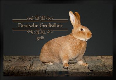 Fußmatte Schmutzfangmatte Kaninchen Deutsche Großsilber gelb F860 60x40 cm