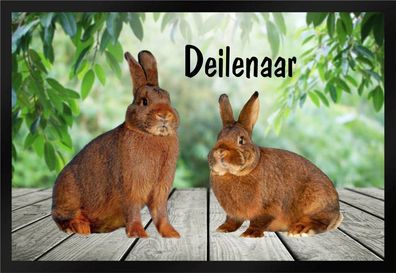 Fußmatte Schmutzfangmatte Kaninchen Deilenaar F859 75x50 cm